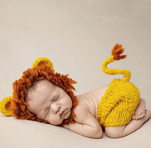 Newborn Lion Outfit