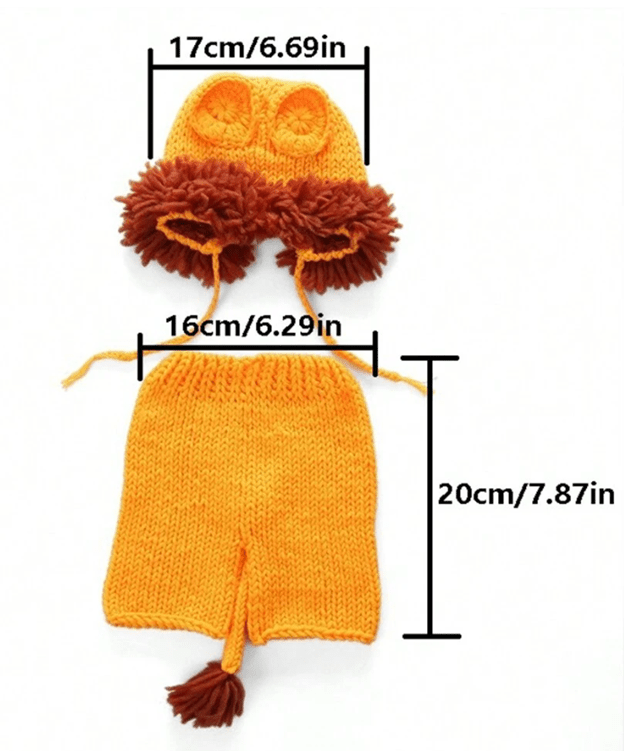 Newborn Lion Outfit
