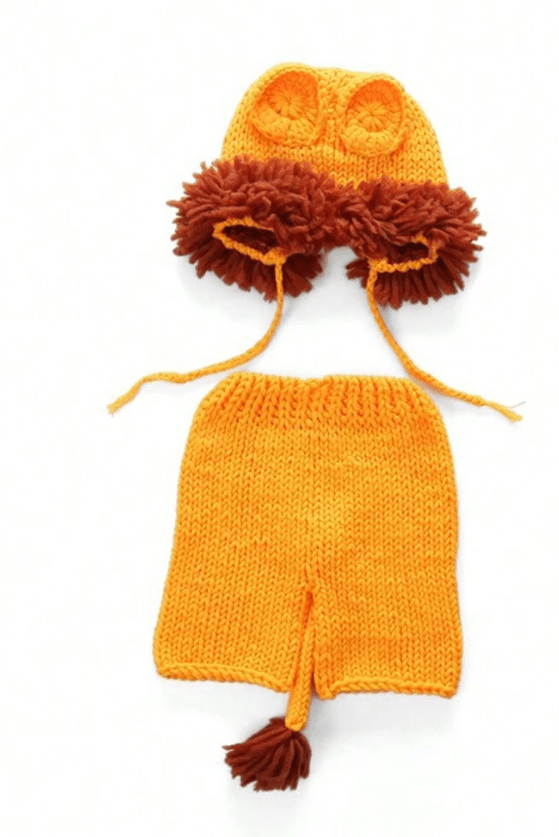 Newborn Lion Outfit
